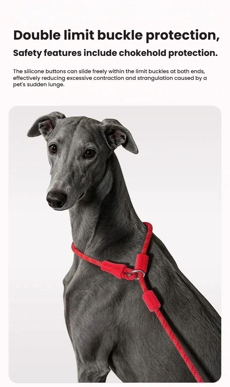 Close-up of the red Petstar slip lead neck loop and adjustable stops