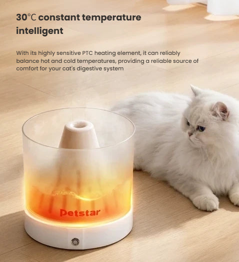 Illustration of a Petstar base warming a water container beside a cat