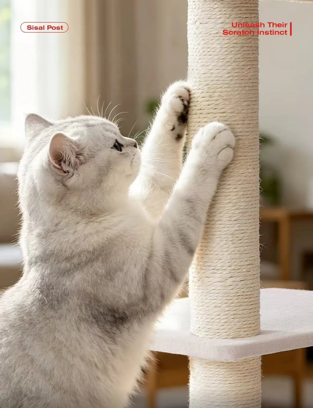 Cat scratching a rope-wrapped post on the Petstar cat tree