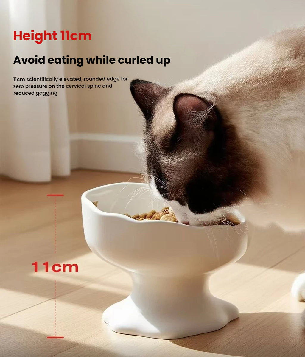 Petstar Elevated Ceramic Cat & Dog Bowl, Non-Slip Design