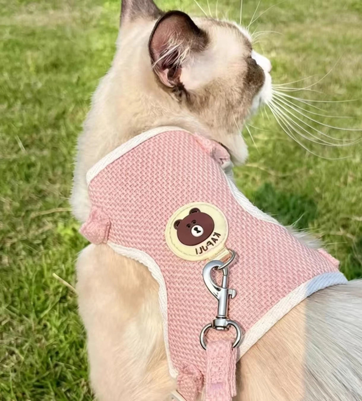 Escape-Proof Cat Harness with Leash, Small Dog Walking Set