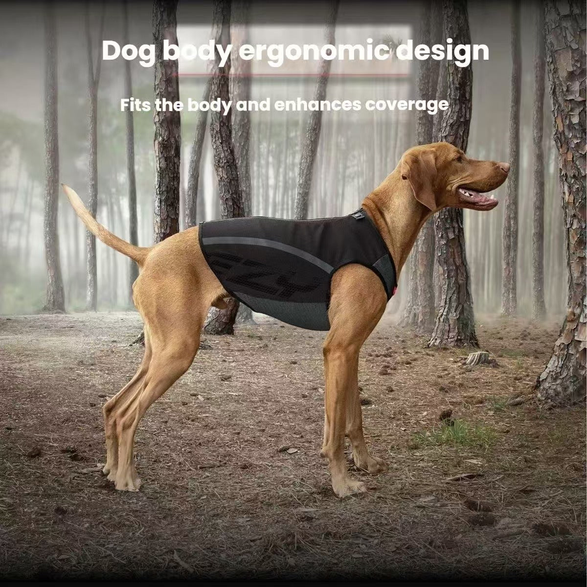 EzyDog Thermax Vest