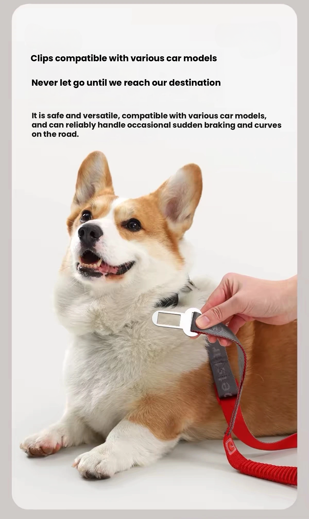 Petstar Retractable Dog Car Seat Belt