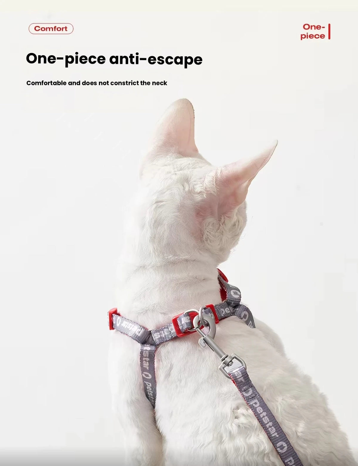 Cat wearing the one-piece Petstar harness
