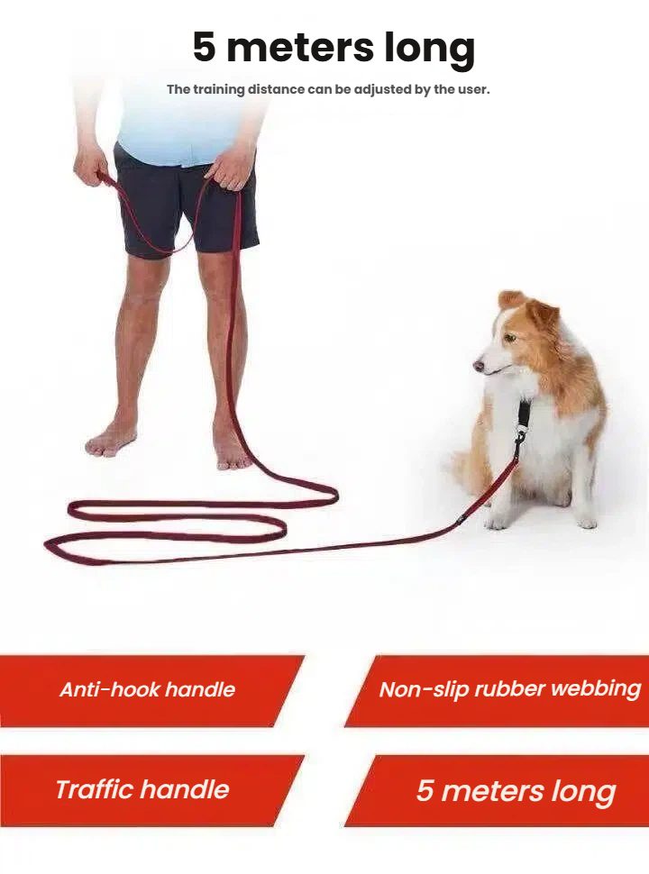 EzyDog Track n Train 5m Long Dog Lead