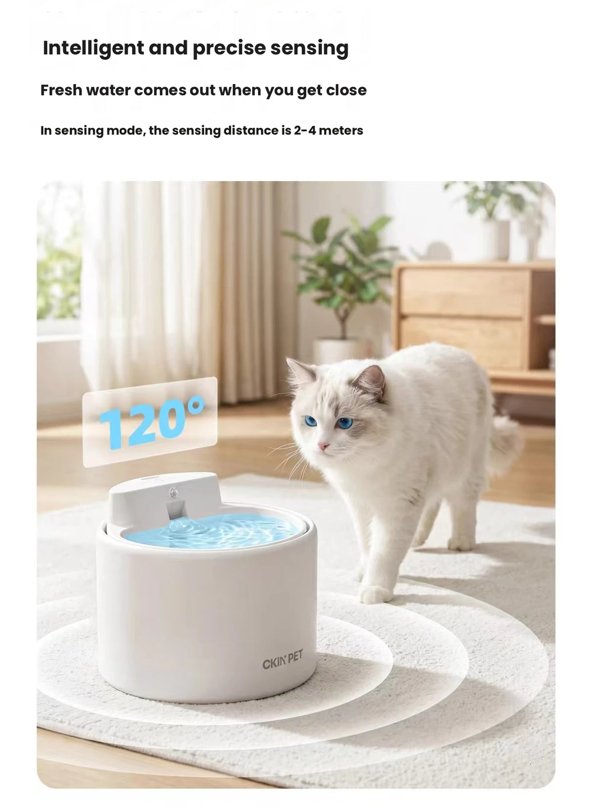 Ckin Pet Ceramic Cordless Cat Water Fountain, Quiet Auto Circulation