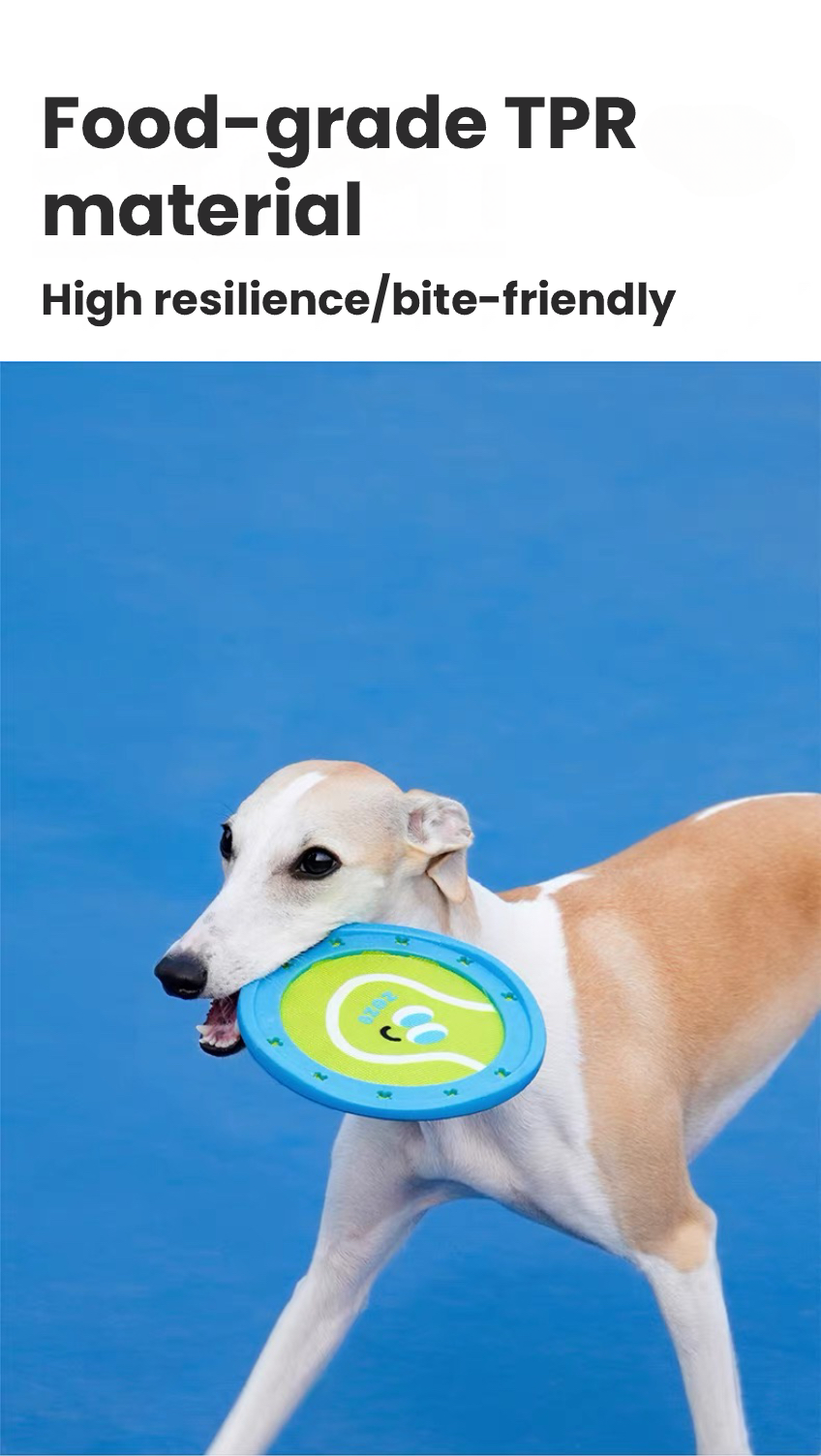 Zeze Durable Dog Flying Disc – Outdoor Training & Fetch Toy