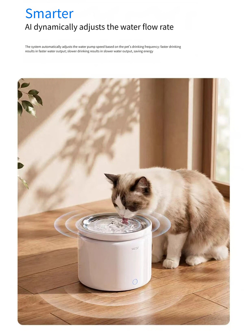 Scoci wireless pet water fountain positioned beside a window