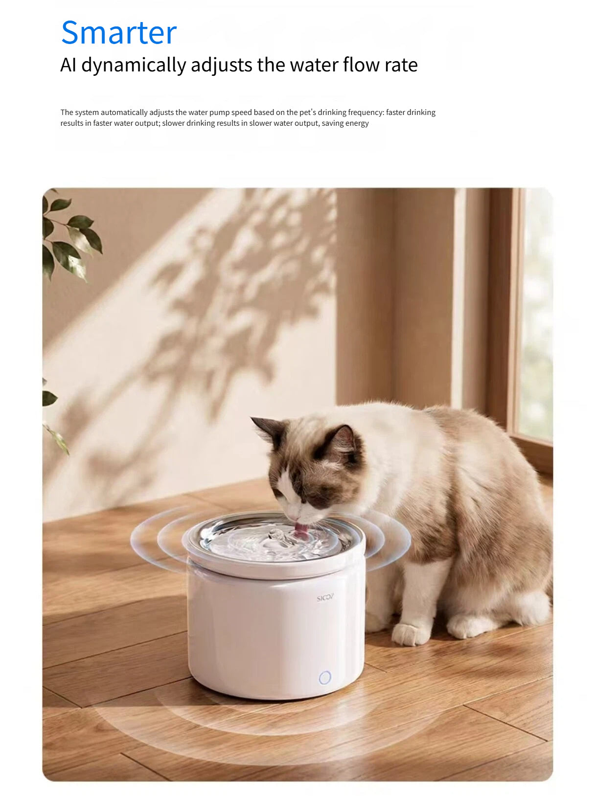 Scoci wireless pet water fountain positioned beside a window