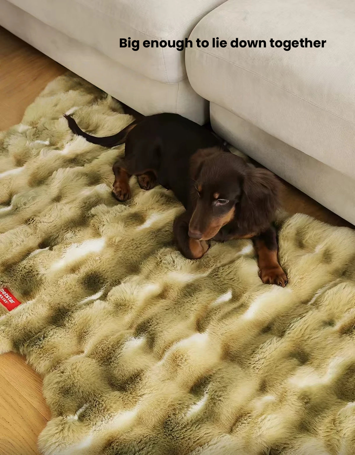 Dog resting on the green Petstar plush pet mat