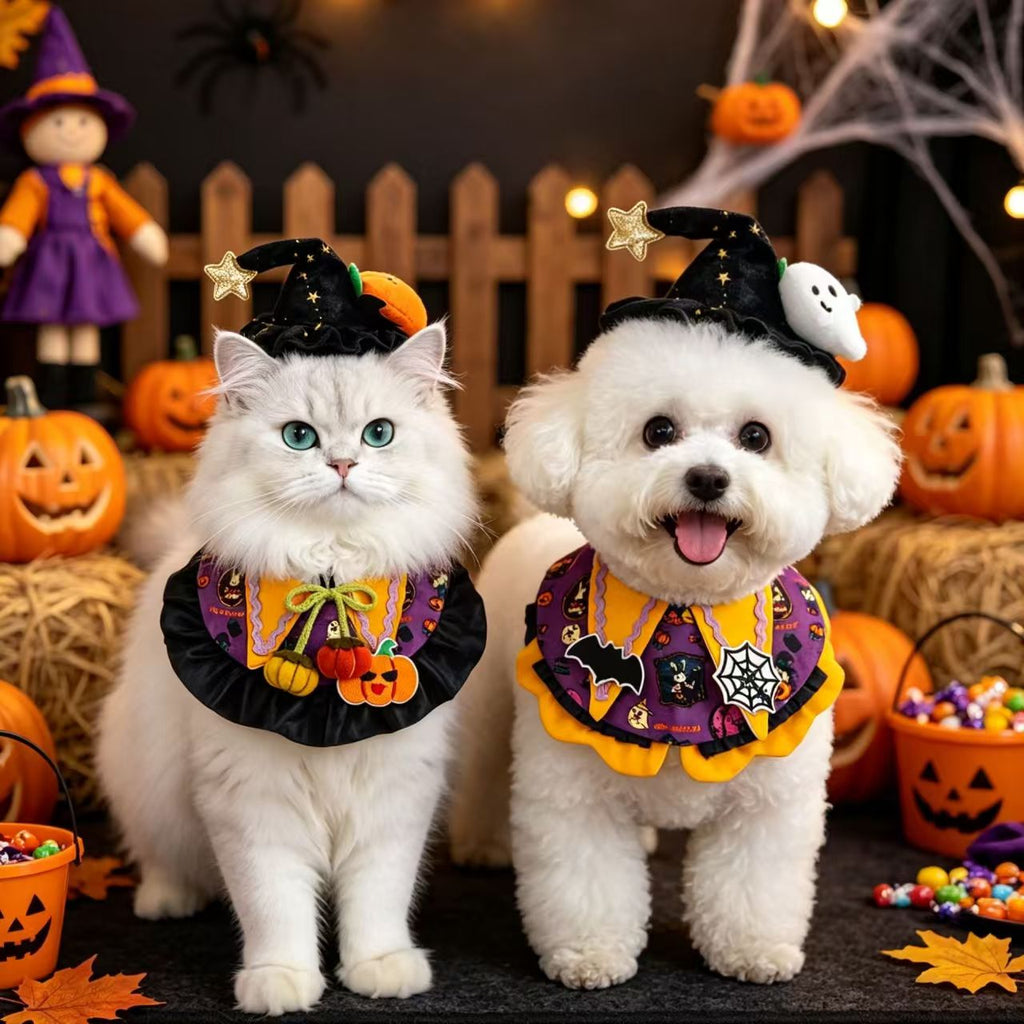 Halloween Pumpkin Pet Hat & Bib Collar for Cats & Small Dogs