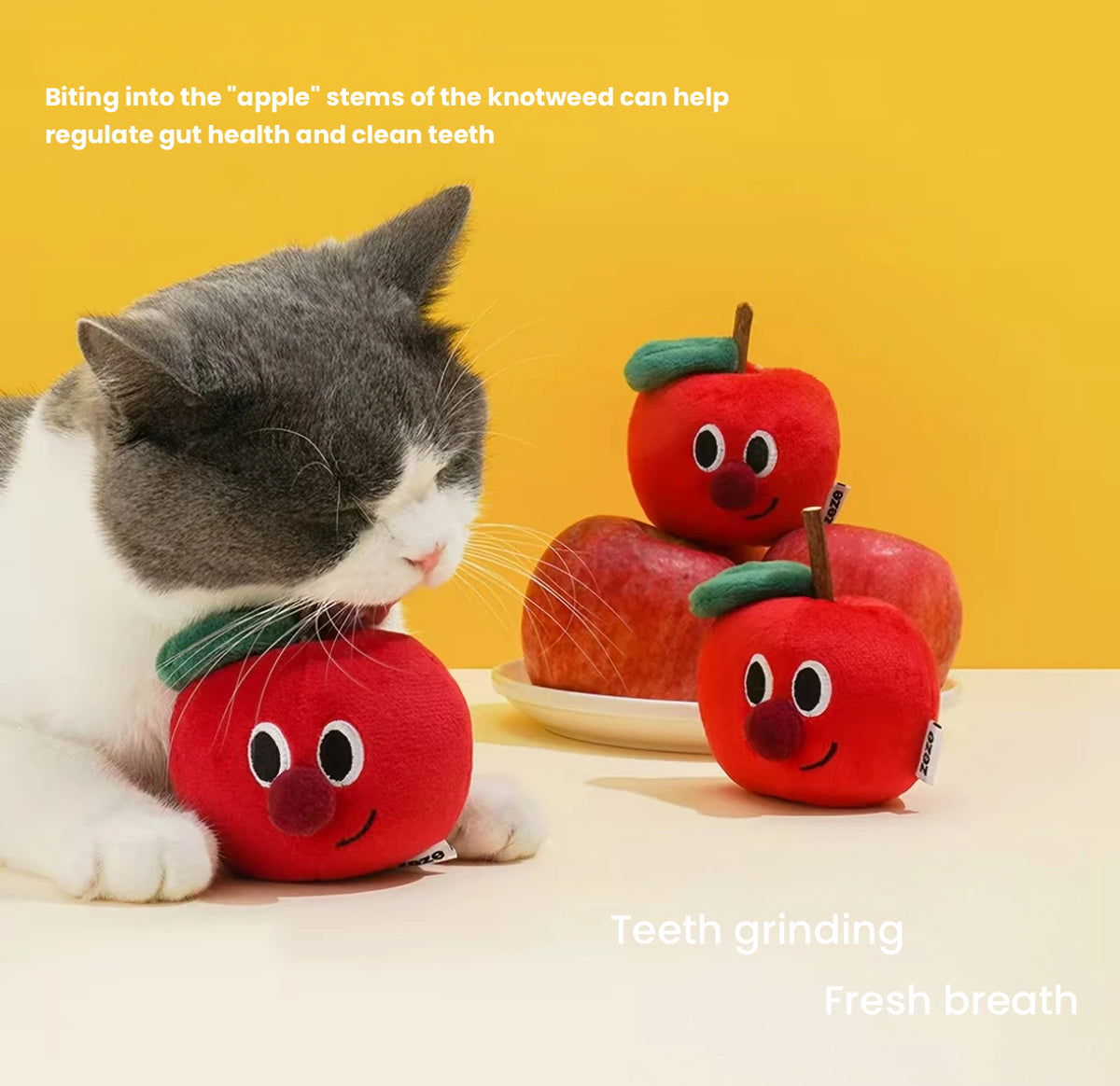 Zeze Apple Wood & Silvervine Catnip Toys - Dental Chew Sticks Teaser for Cats & Kittens