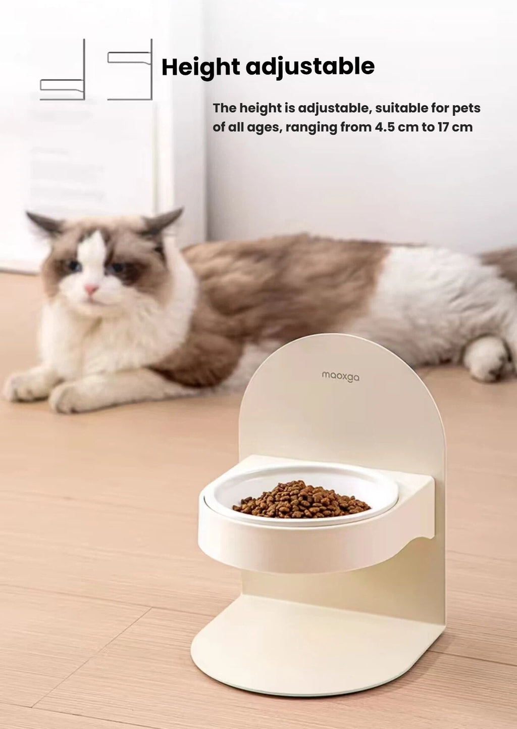 Cat beside an adjustable raised Miao Xiang Jia ceramic bowl at mealtime