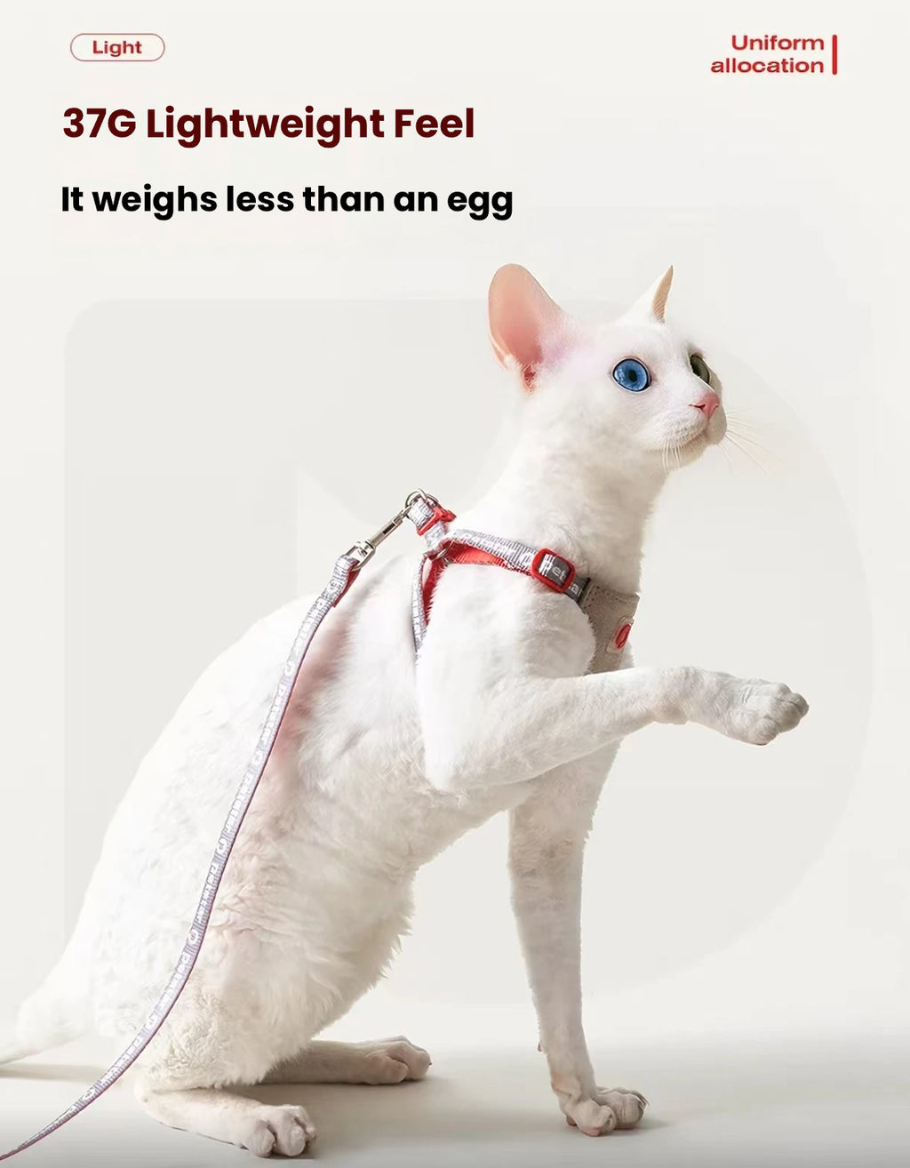 Petstar cat harness shown as a 37g lightweight design
