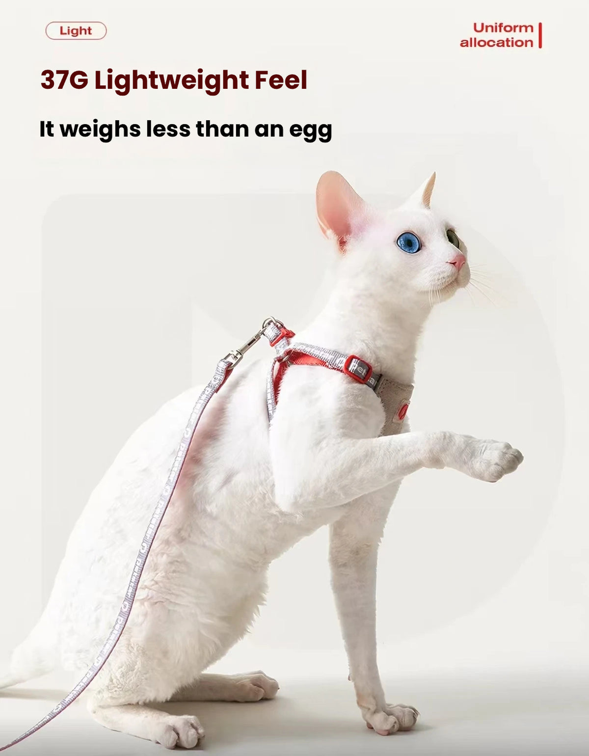 Petstar cat harness shown as a 37g lightweight design