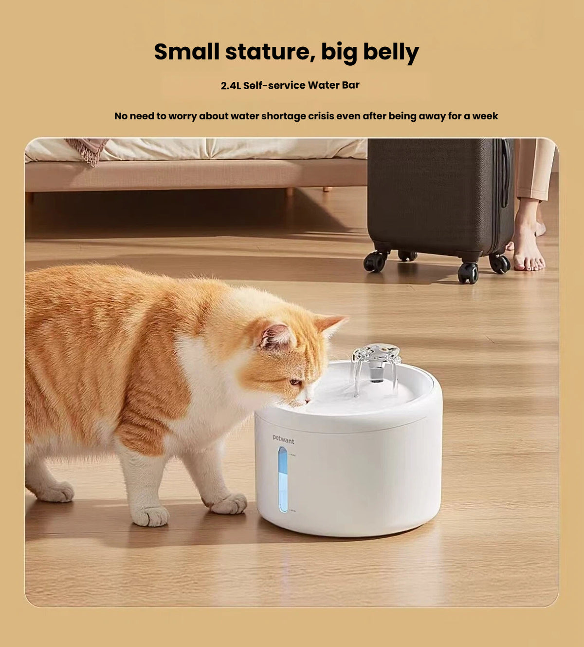 Petwant Automatic Cat Water Fountain, Flowing Water for Cats & Dogs