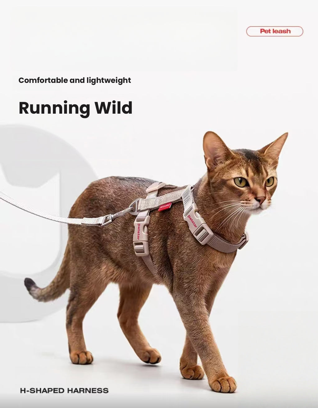 Cat wearing the lightweight Petstar H-style harness