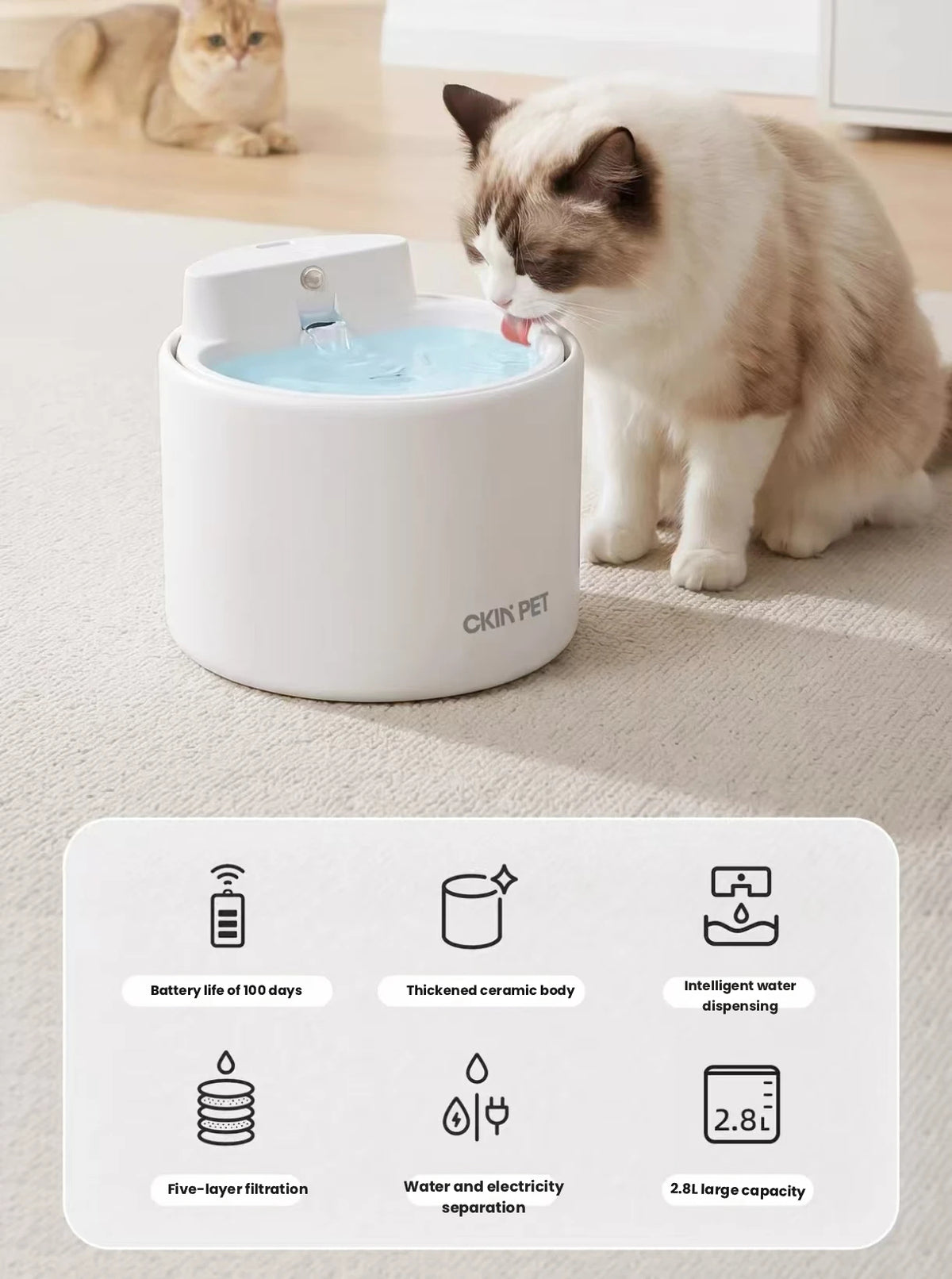 Ckin Pet Ceramic Cordless Cat Water Fountain, Quiet Auto Circulation