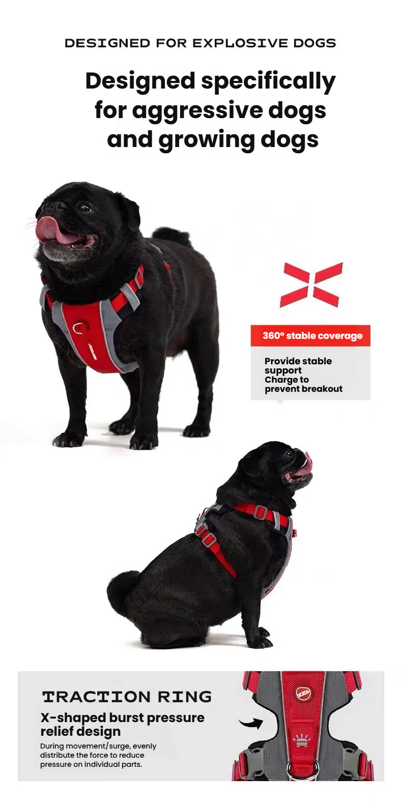 EzyDog X-Link Dog Harness