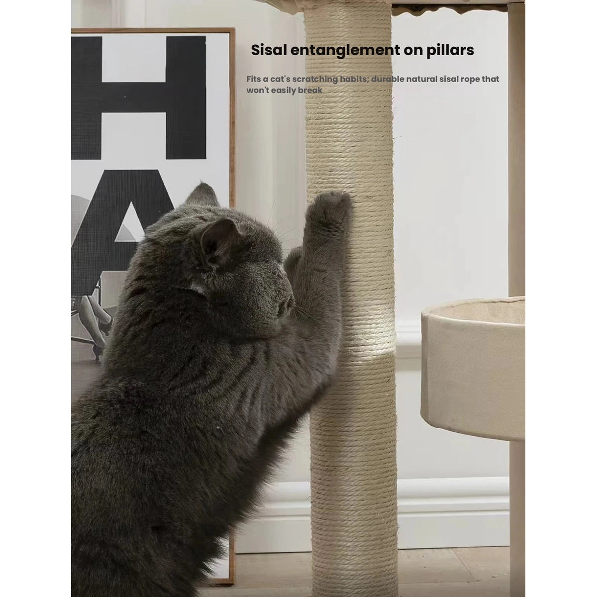 Cat scratching the sisal-wrapped post of the cat tree