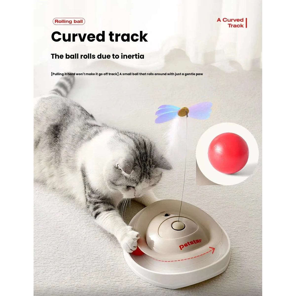 Cat playing with the curved-track Petstar spinner toy