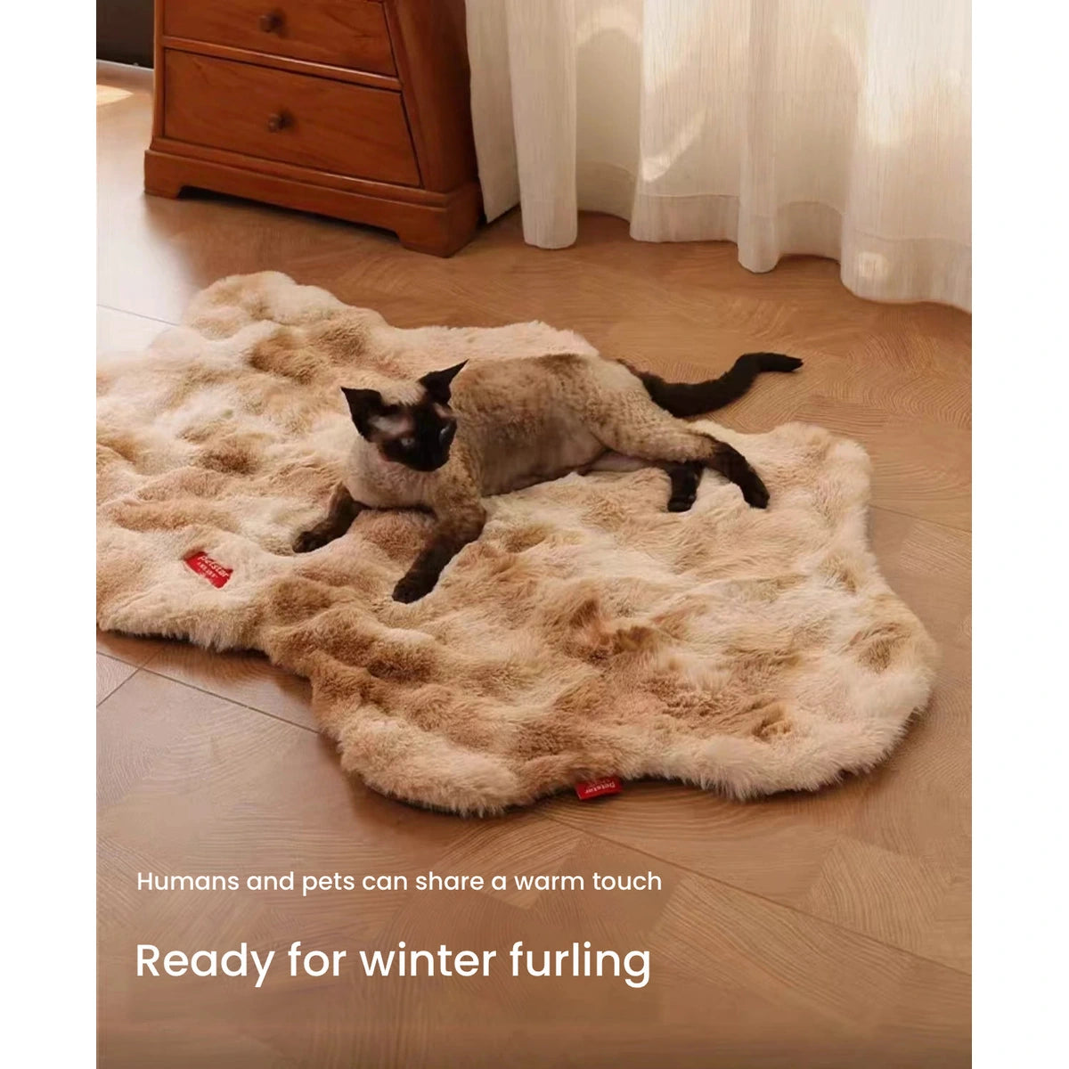Cat resting on the brown Petstar plush pet mat