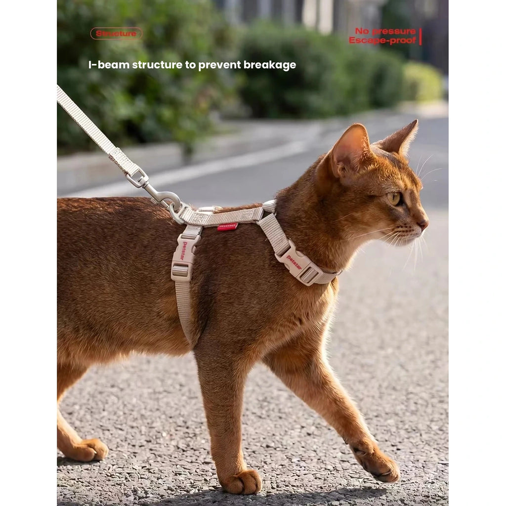 Cat wearing the secure Petstar harness outdoors