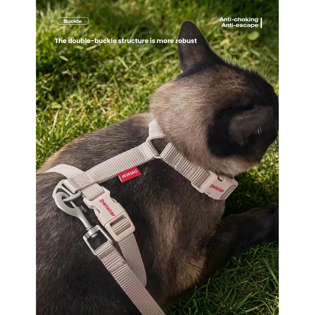 Back view of the Petstar harness on a cat