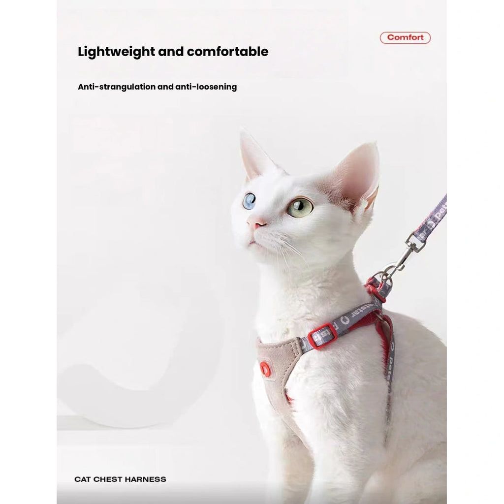 Cat wearing the lightweight Petstar vest harness