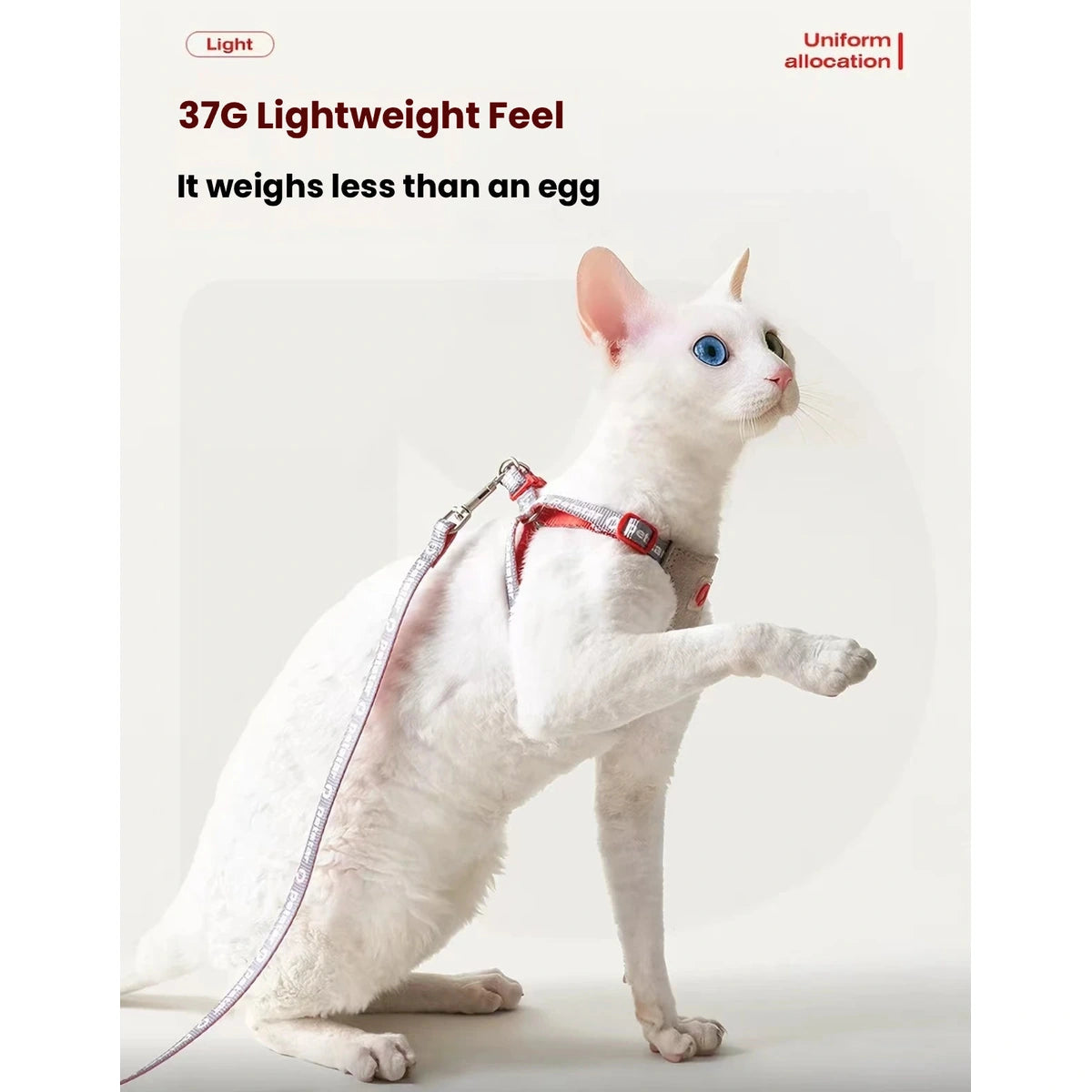 Petstar cat harness shown as a 37g lightweight design
