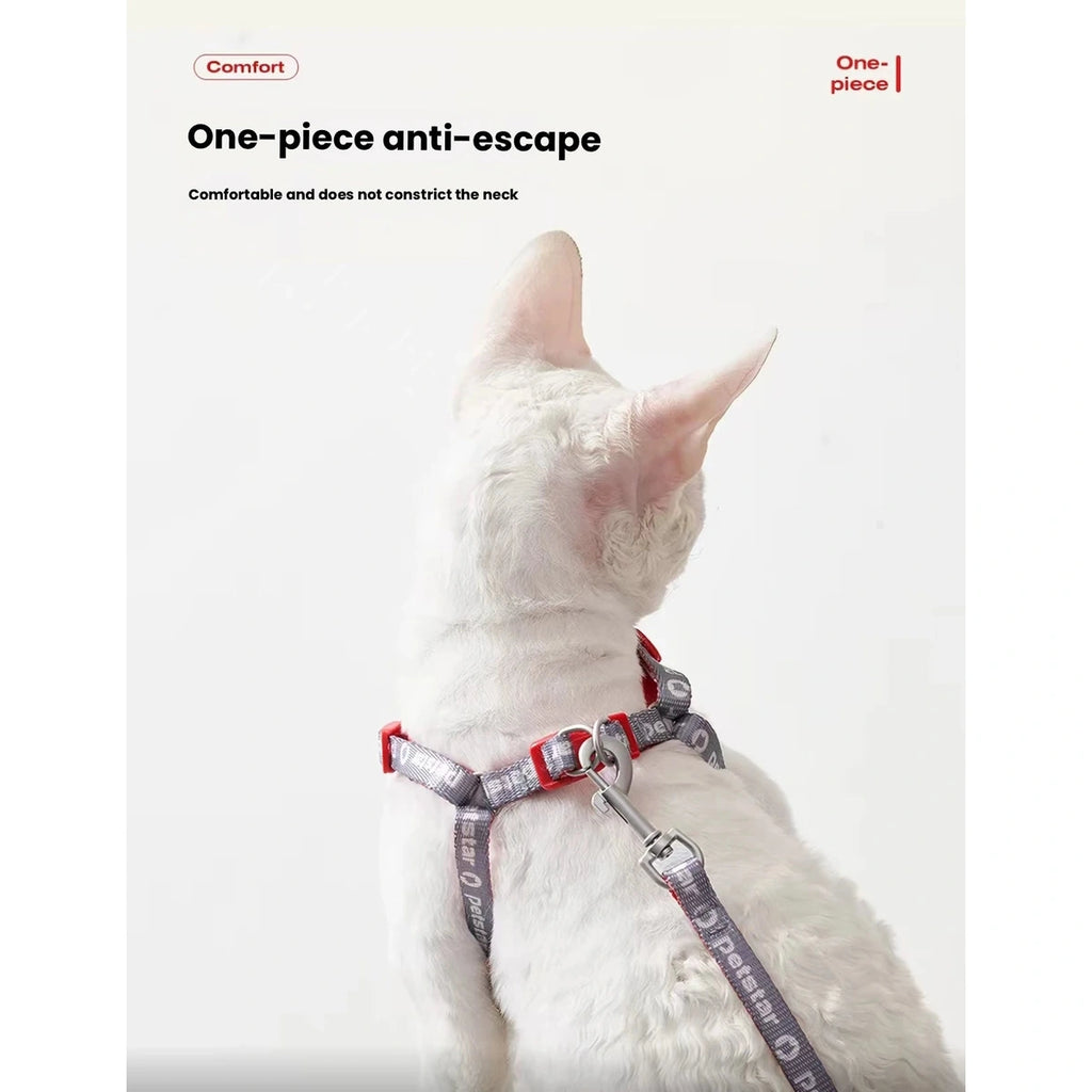 Cat wearing the one-piece Petstar harness