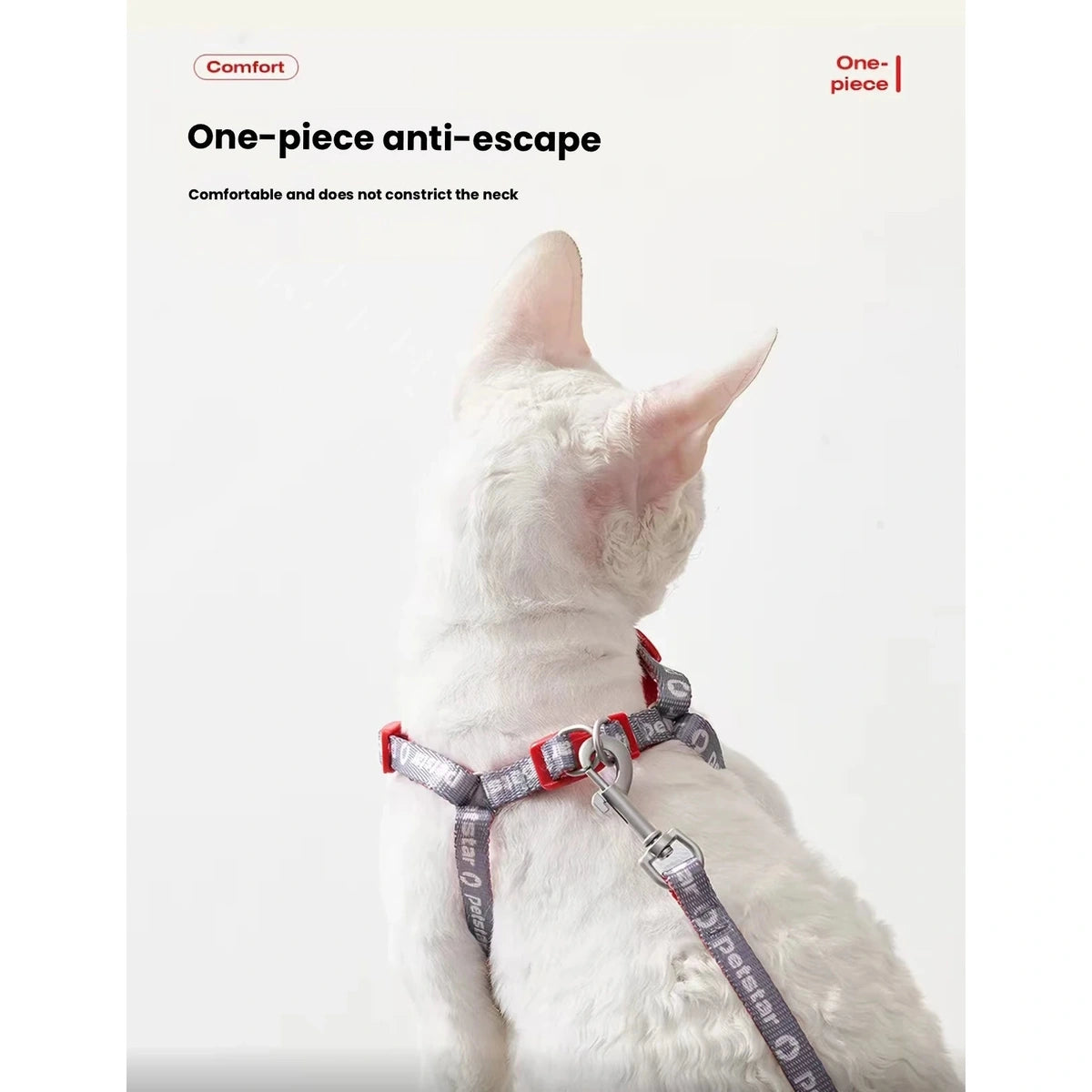 Cat wearing the one-piece Petstar harness