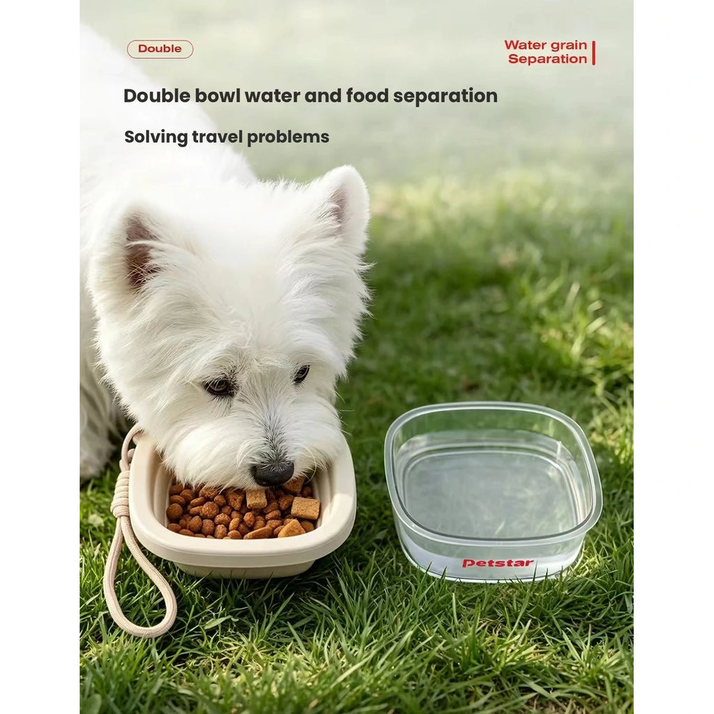 Dog eating beside the Petstar food and water bowls