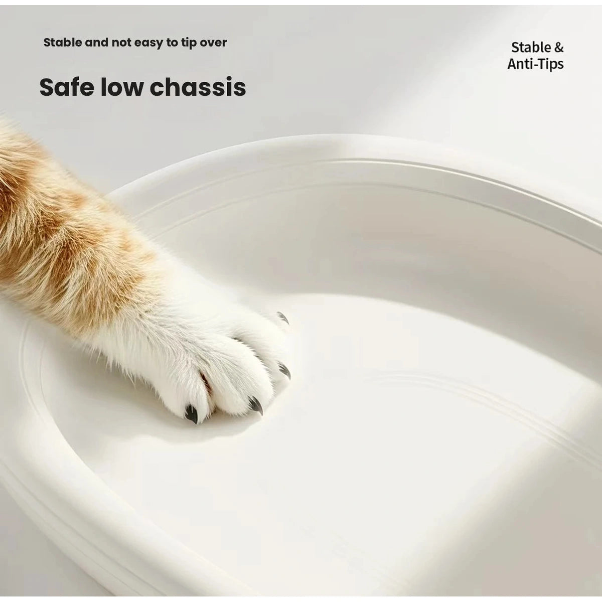 猫の足元とベッドの低い縁の拡大