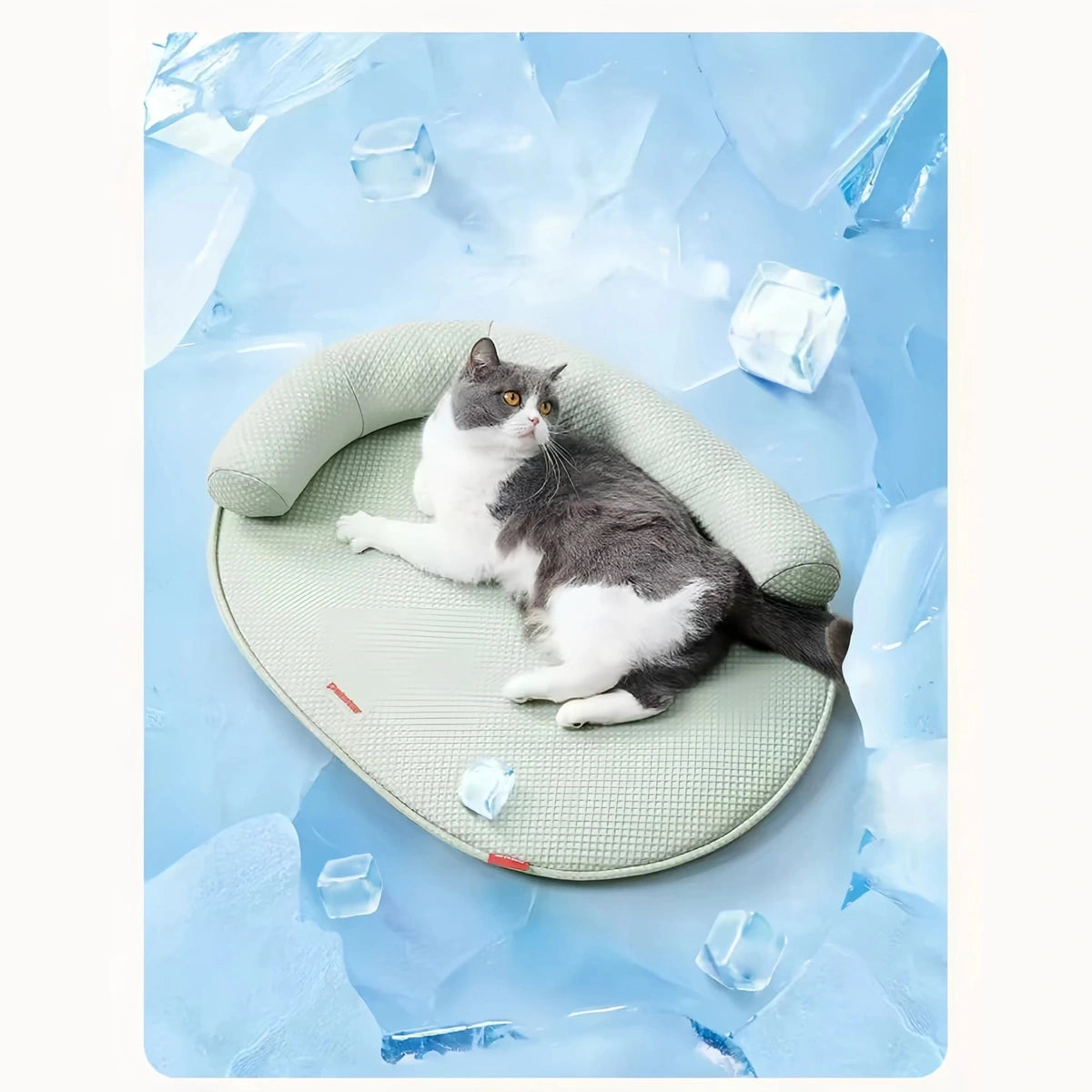 夏の風景でグリーンのマットに休む猫