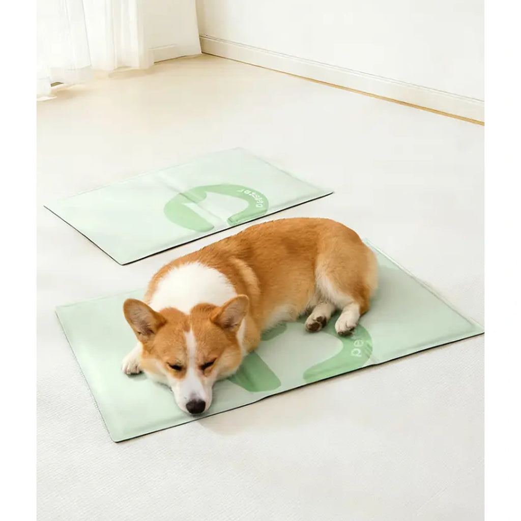 Dog lying on the pale green Petstar cooling mat
