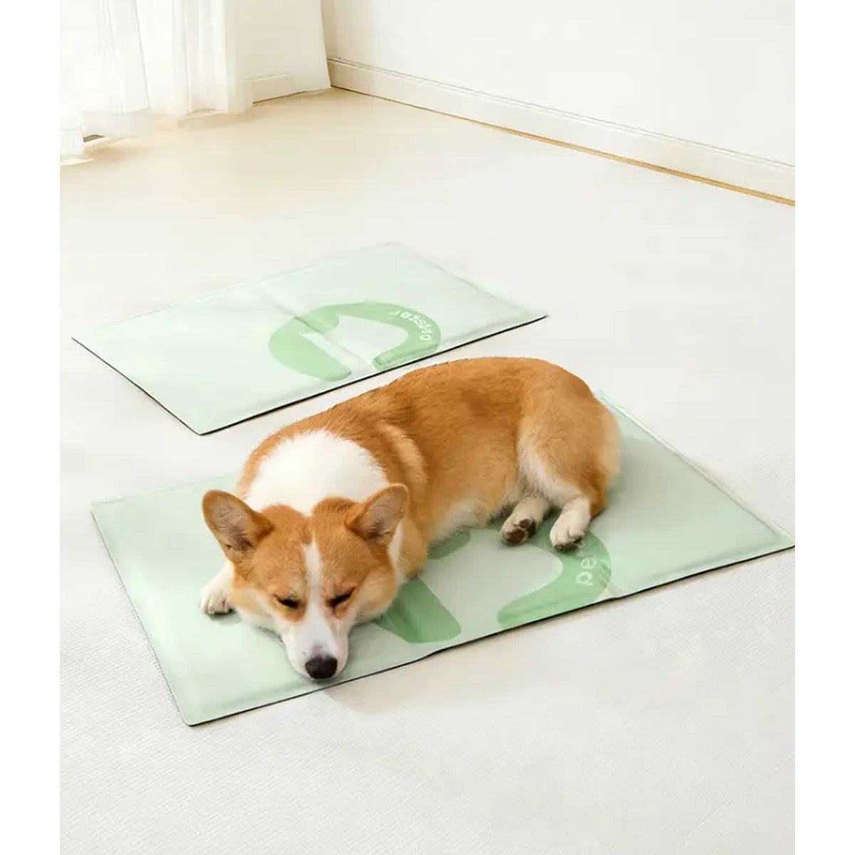 Dog lying on the pale green Petstar cooling mat