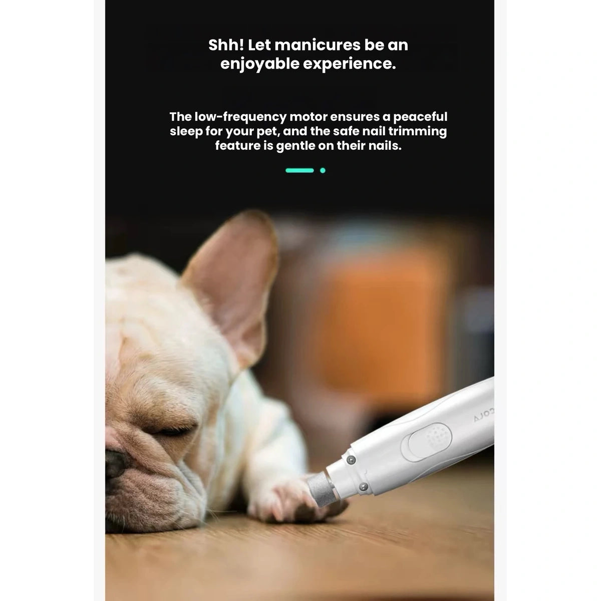 POPOCOLA nail grinder pictured beside a resting dog
