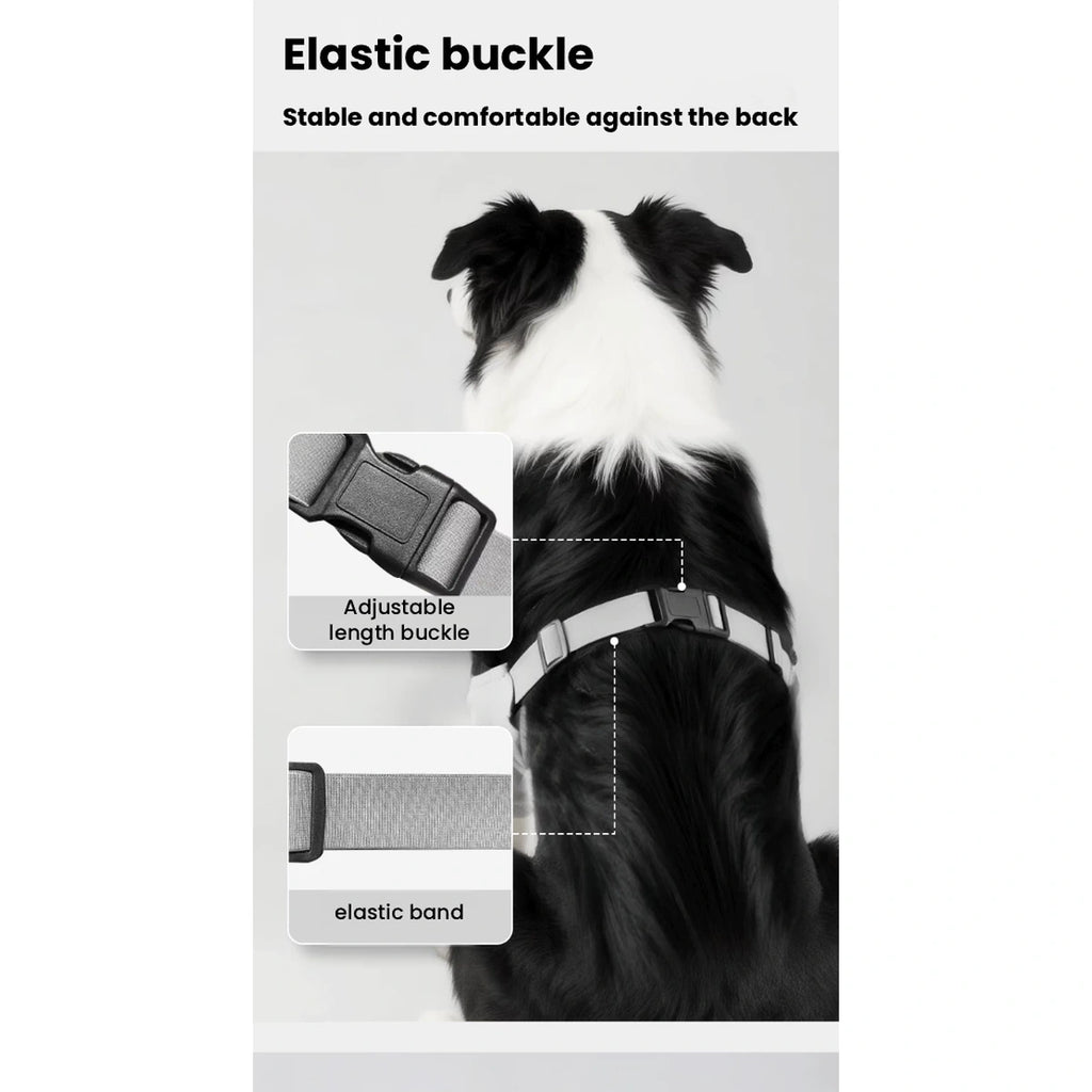 Dog wearing grey elbow sleeves with adjustable back strap