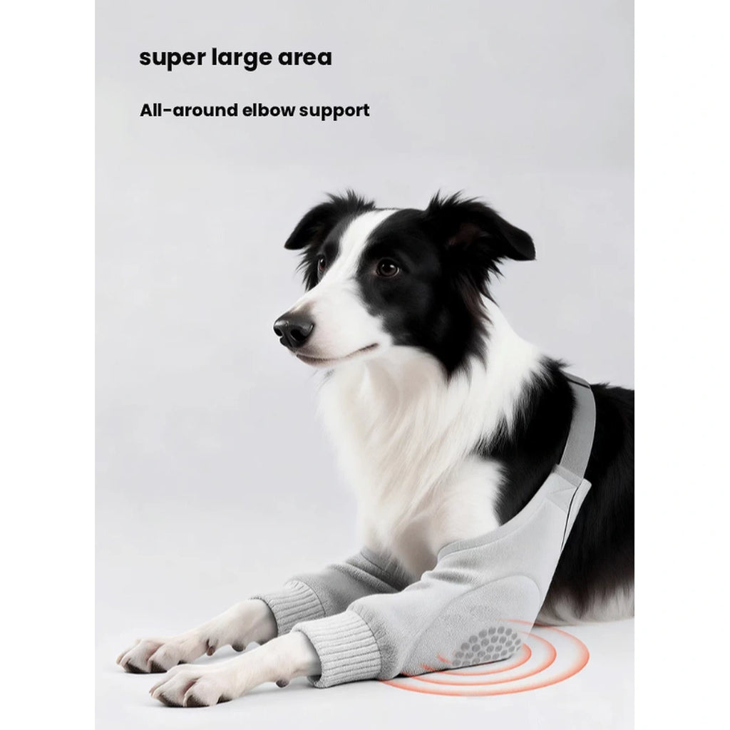 Dog resting while wearing grey POPOCOLA elbow covers