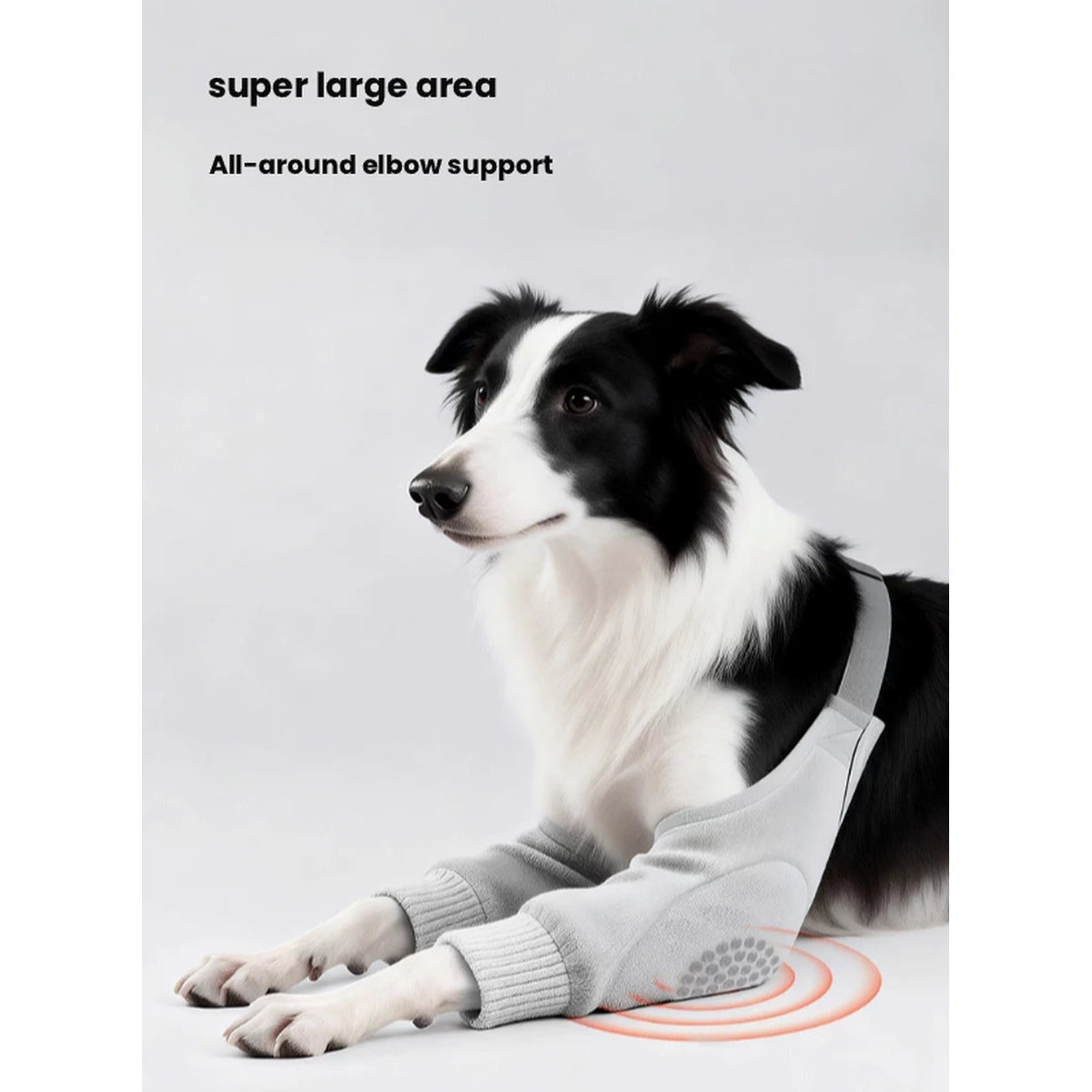 Dog resting while wearing grey POPOCOLA elbow covers