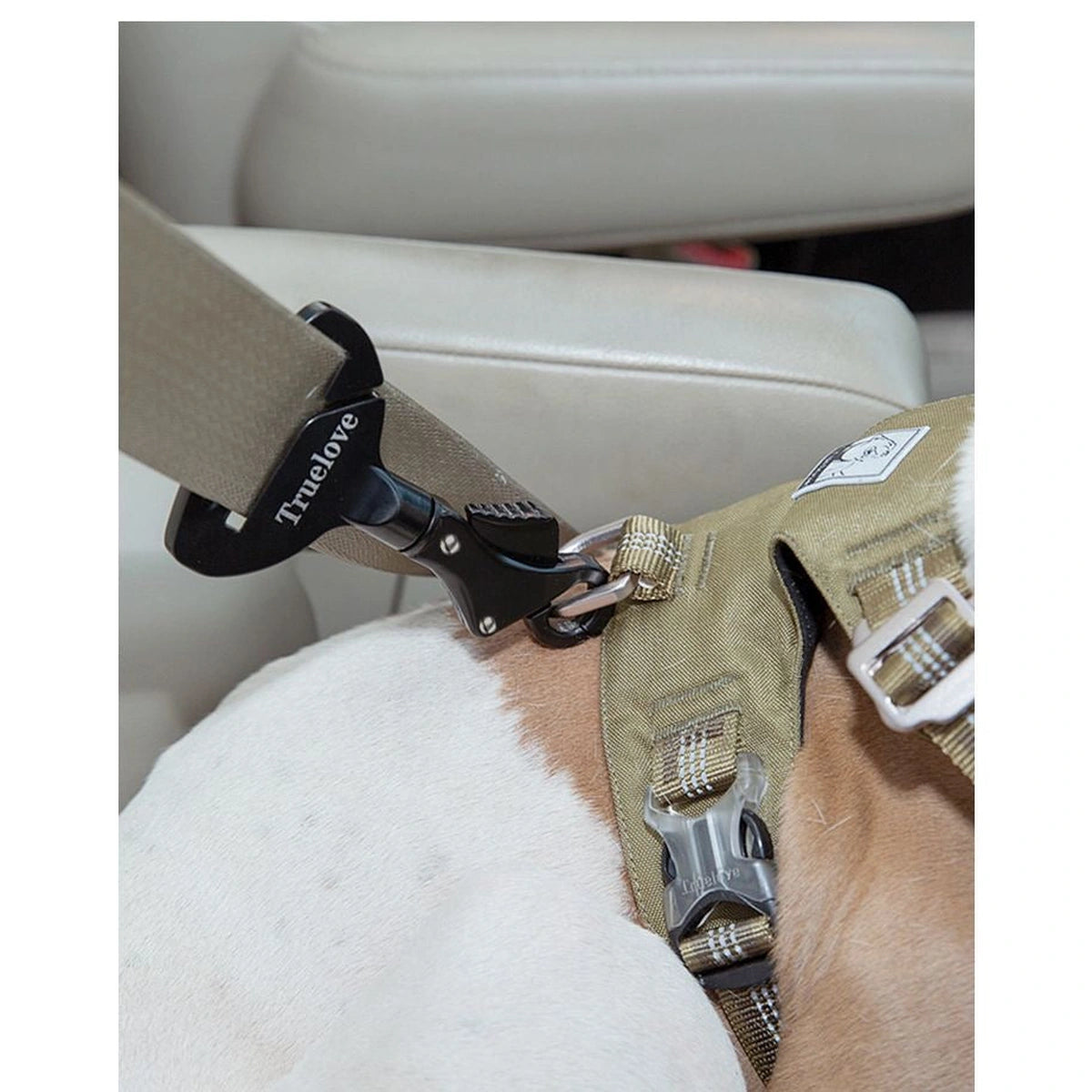 犬のハーネスに接続した金具の拡大画像
