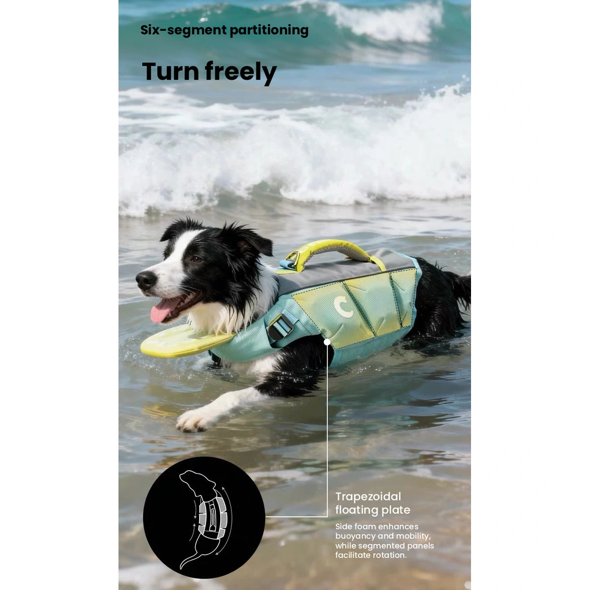 浮力のあるベストを着て泳ぐ犬