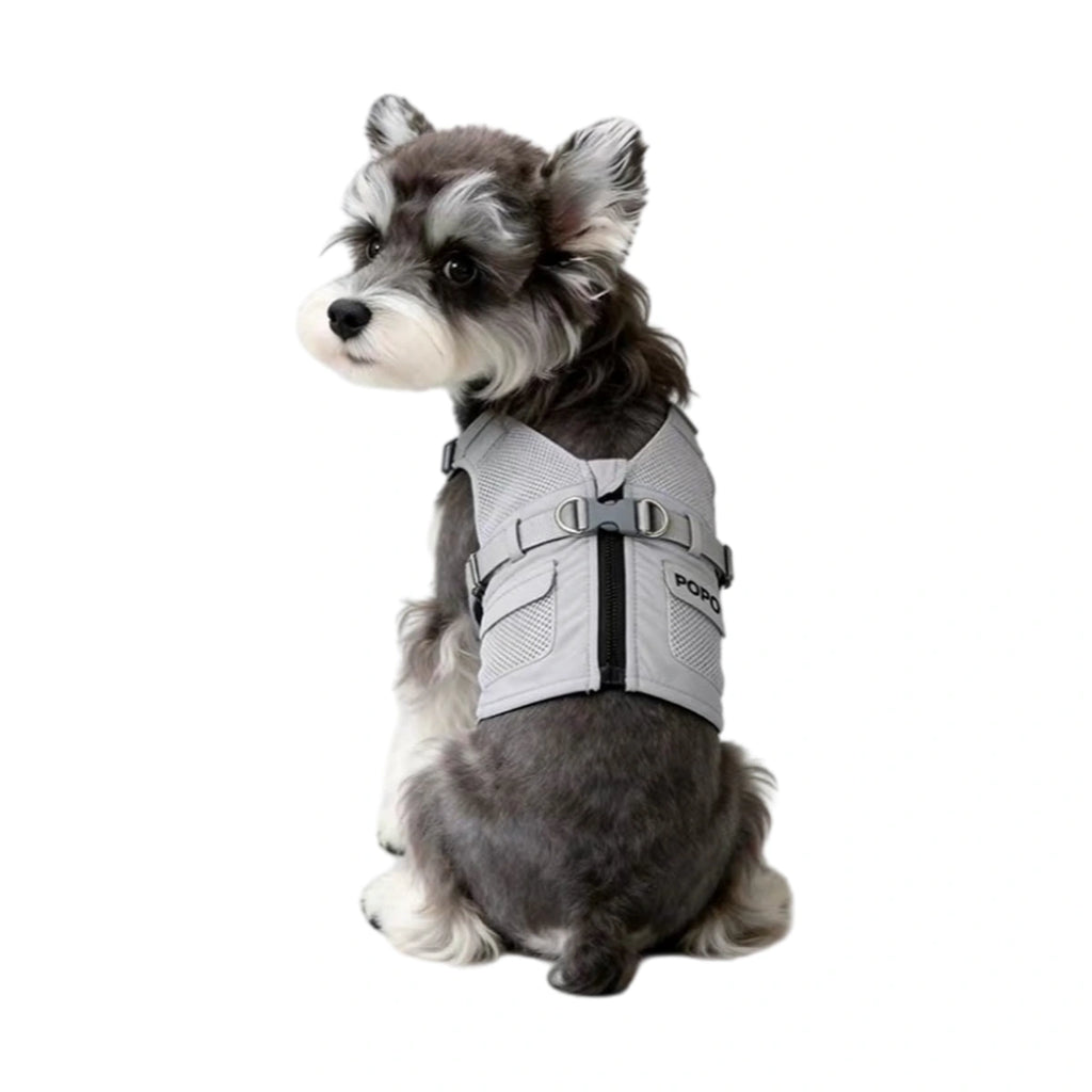 Small dog wearing grey vest harness from rear