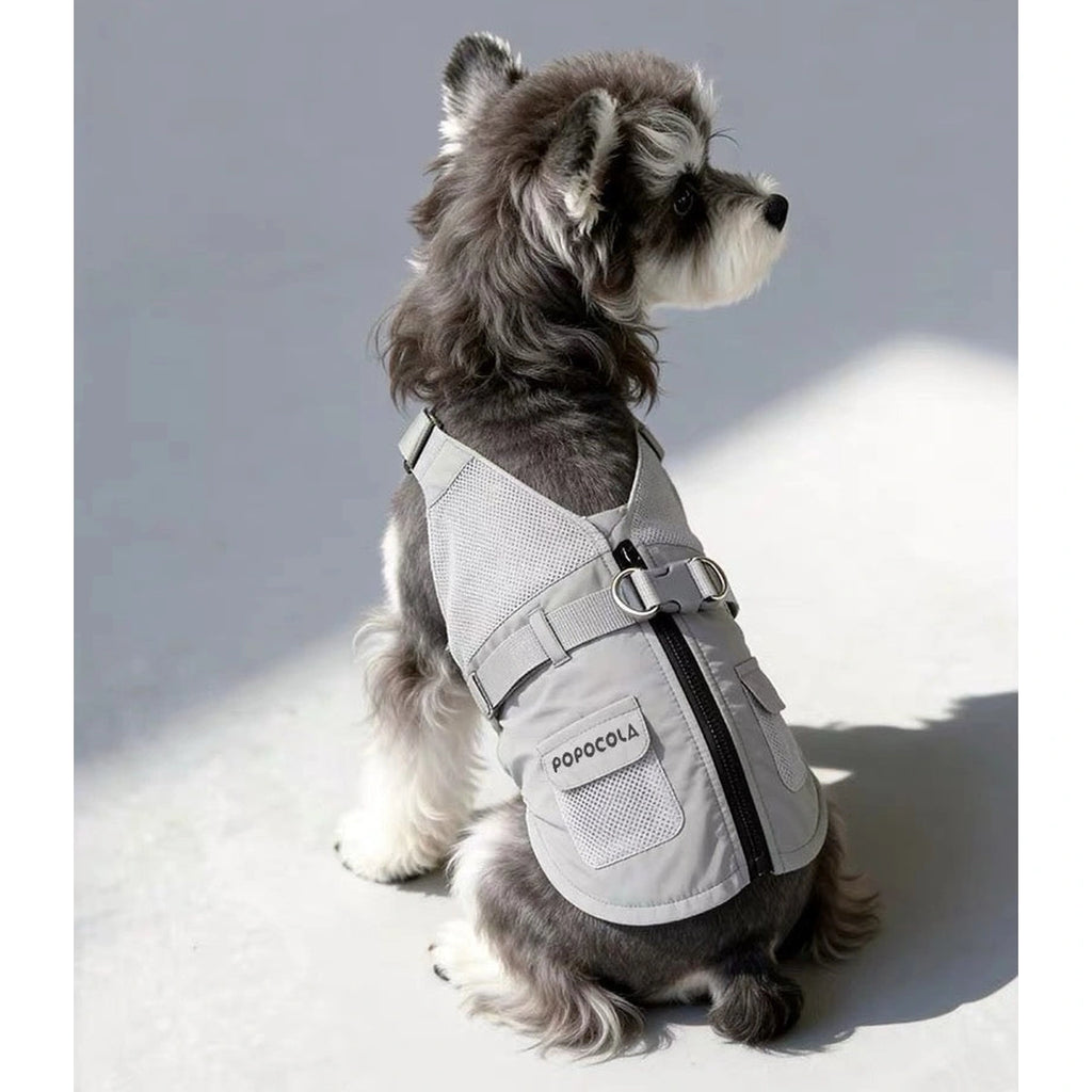 Small dog wearing grey vest harness from side
