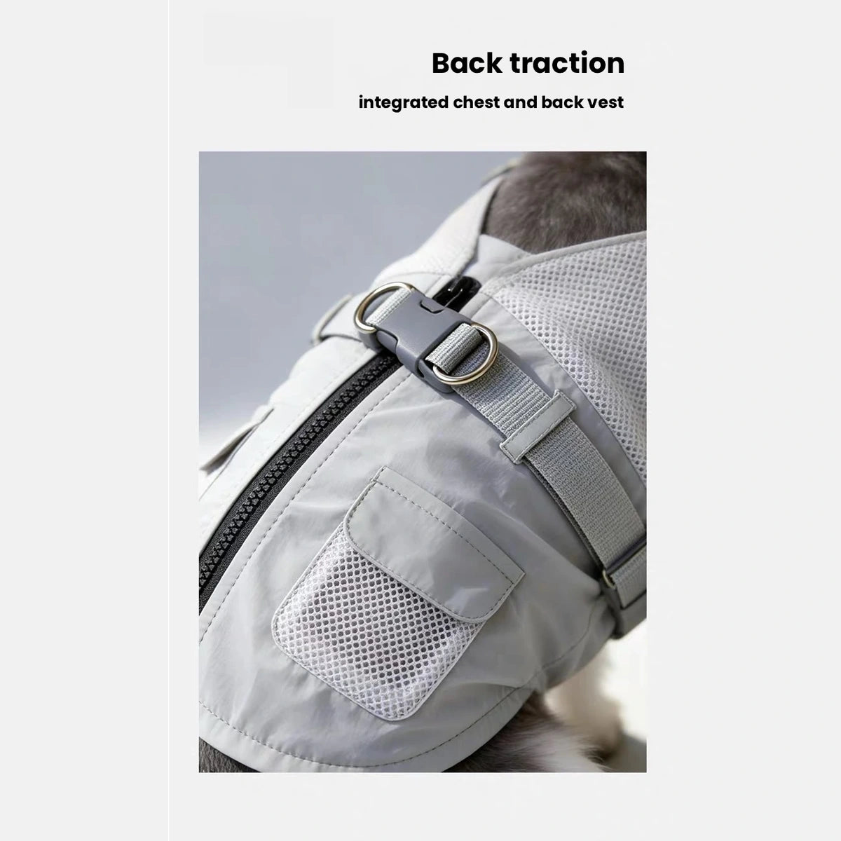 Back strap and leash clip on dog vest harness