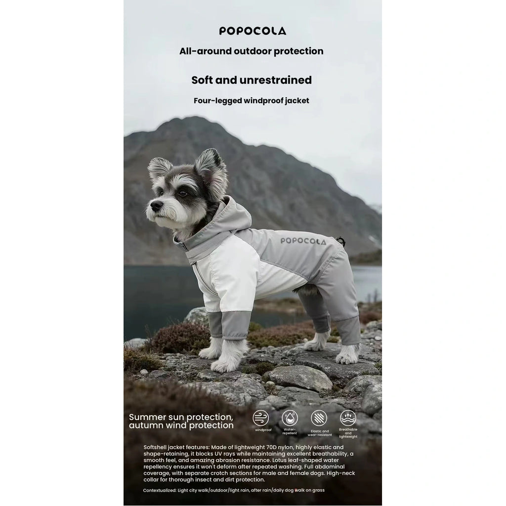 Dog wearing grey hooded raincoat outdoors