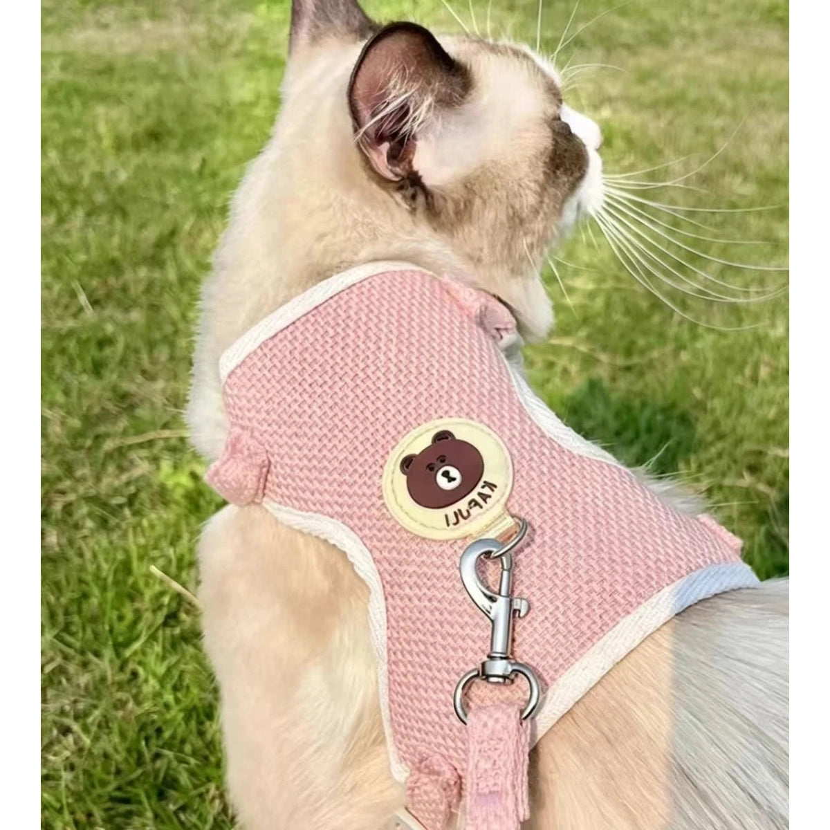 잔디에 분홍색 조끼 하네스를 입고 고양이