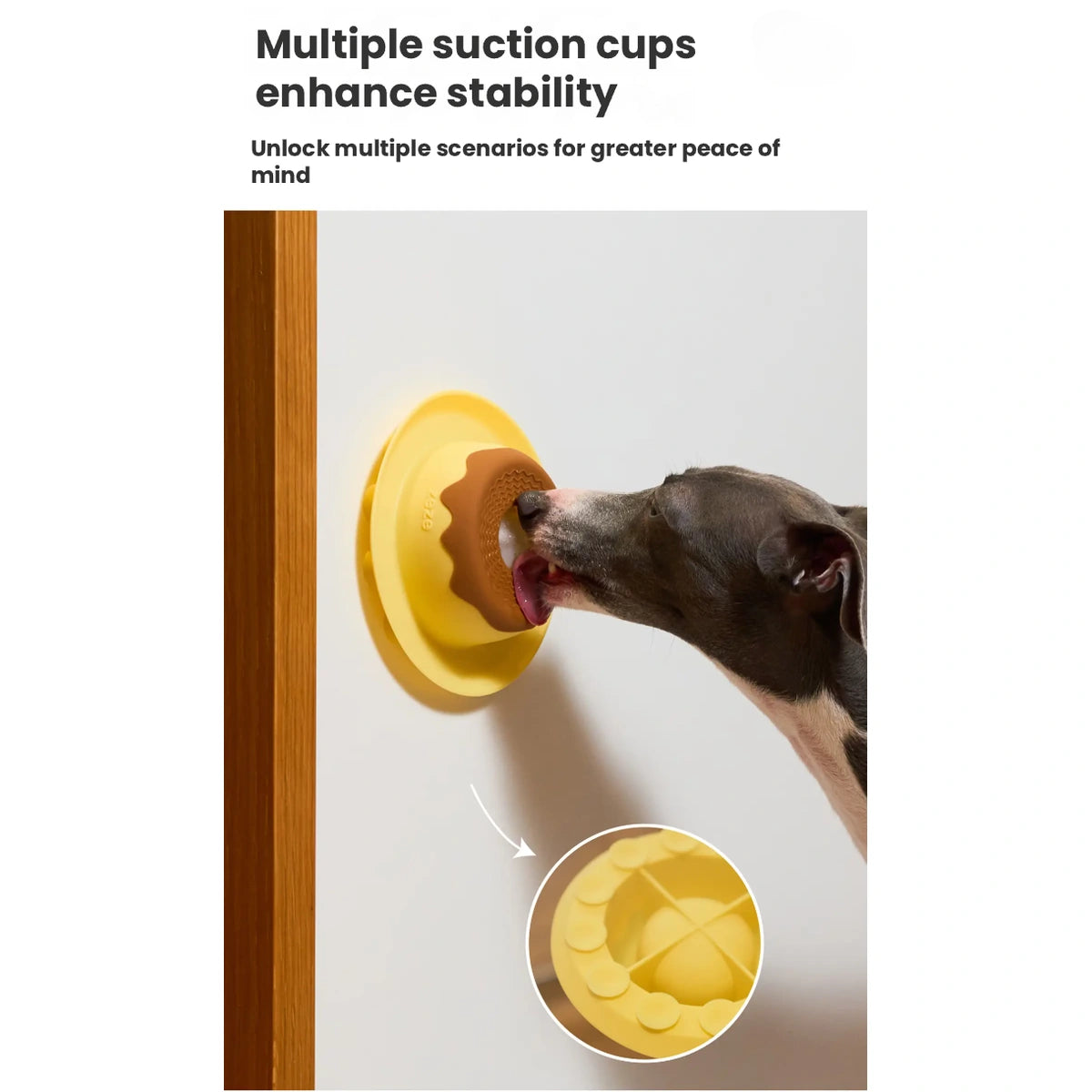 Suction cups on underside of lick bowl