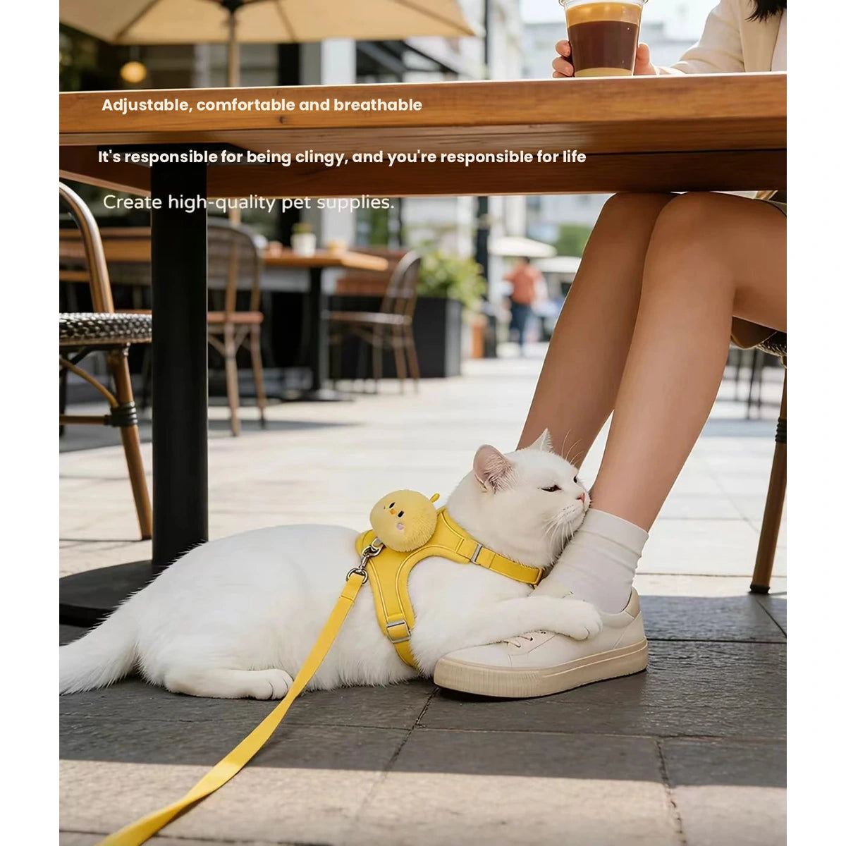 White cat wearing yellow harness near a chair
